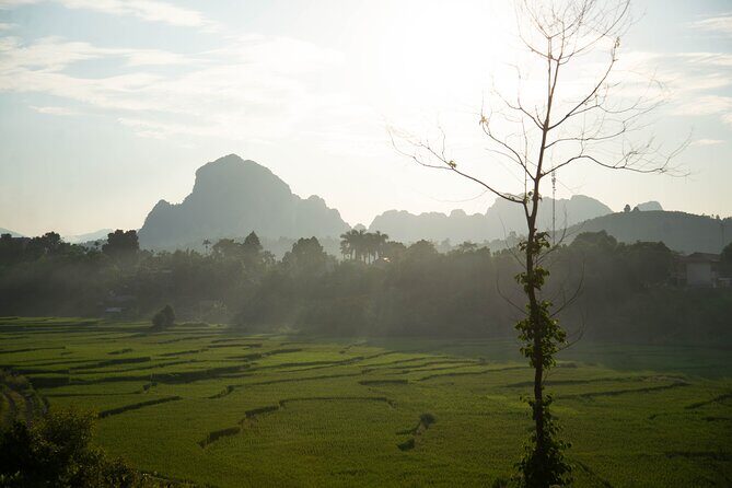 Hanoi Paragliding COMBO: Tandem paraglide + course (full-day) - Muong lunch at a stilt clubhouse, then trekking to a mountain peak