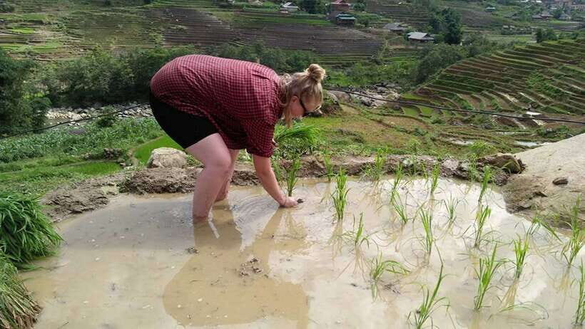 Hanoi- SaPa: 3-Day Homestay Trek to Explore Ethnic cultures - Day 2: Bamboo Forest to Red Dzao Country, Plus Ban Ho Homestay
