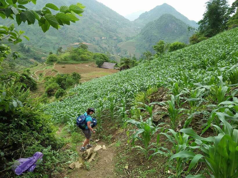 Hanoi- SaPa: 3-Day Homestay Trek to Explore Ethnic cultures - What’s Included in the $139 Price (and Why It Adds Up)