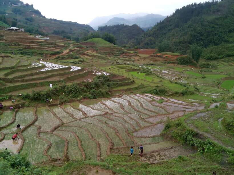 Hanoi- SaPa: 3-Day Homestay Trek to Explore Ethnic cultures - Guide Quality and Group Size: Why It Changes the Whole Trek