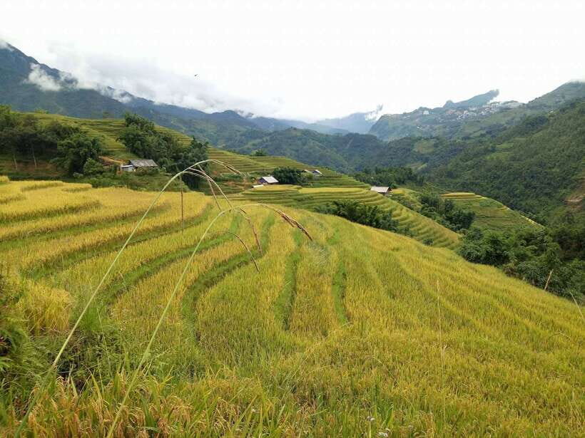 Hanoi- SaPa: 3-Day Homestay Trek to Explore Ethnic cultures - Who Should Book (and Who Should Skip This Trek)