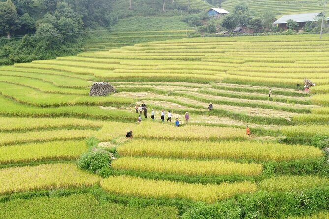 Hanoi - Sapa 3 Days - 2 Nights Trekking with With the locals - Key things I’d pay attention to