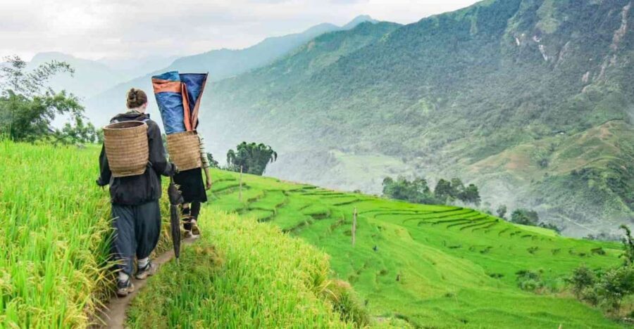 Hanoi: Sapa Trekking 2 Days 1 Night - Sleeper Bus from Hanoi - The Day 2 trek: Muong Hoa Valley, Y Linh Ho, and Lao Chai rice terraces