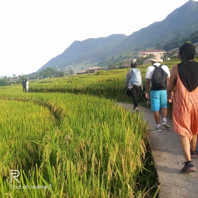 Hanoi: Sapa Trekking 2 Days 1 Night - Sleeper Bus from Hanoi - Ta Van village time: Dzay life and a cottage-scale look
