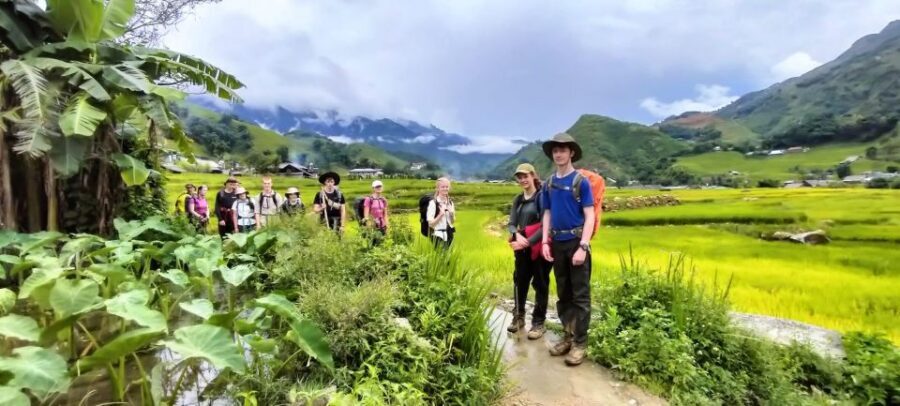 Hanoi: Sapa Trekking 2 Days 1 Night - Sleeper Bus from Hanoi - Value and pricing: why $90 can work (or not)