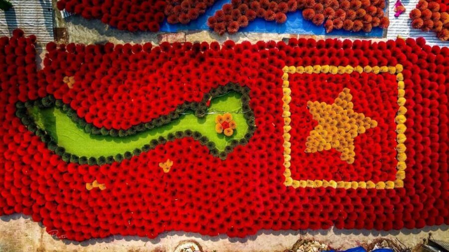 Hanoi: Thang Nghiem Pagoda Or Incense Village & Hat Village - Who this tour is best for