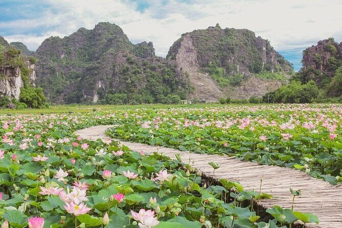Hanoi to Ninh Binh Day Trip: Mua Cave, Trang An Boat Ride - Lunch - Tràng An boat ride: the calm part of the day