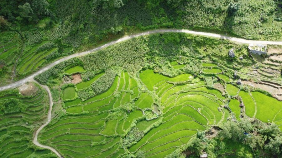 Hanoi to Sapa: Terraced Fields, Culture & Cuisine – 3 Days - Day 2 Trekking: Muong Hoa Stream, Rice Terraces, and Three Villages