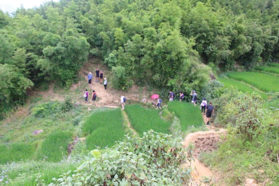 Hanoi to Sapa: Terraced Fields, Culture & Cuisine – 3 Days - Food on the Trail: Included Meals and What the Cooking Class Really Adds