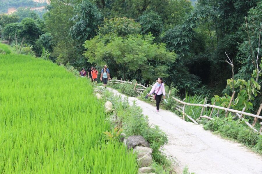 Hanoi to Sapa: Terraced Fields, Culture & Cuisine – 3 Days - What to Expect on the Ground: Mud, Shoes, and Respectful Village Stops