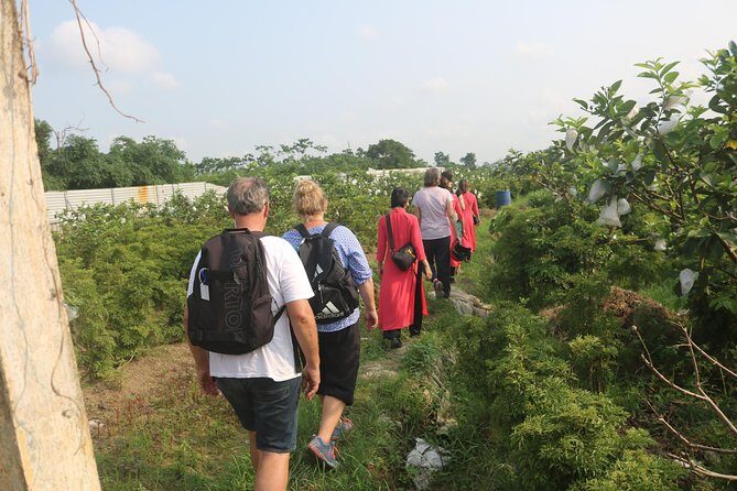 Hanoi Vespa Full Day City & Countryside with Female Ao Dai Riders - Co Loa Citadel and rice paddies: local market energy plus a countryside reset