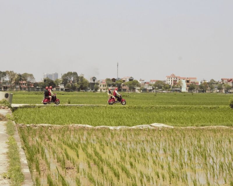 Hanoi Vintage Vespa Tours: A Half-Day Countryside Adventure - Bonsai lessons and a traditional house: what you’re really getting