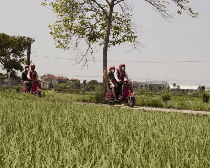 Hanoi Vintage Vespa Tours: A Half-Day Countryside Adventure - Hoi Phu broomsticks: a small craft with big local meaning