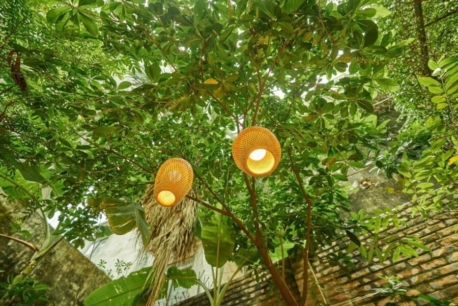 Hanoi’s Culinary: Authentic Cooking Class and Local Market - Cooking in a local villa garden: small-group pace, real chef instruction