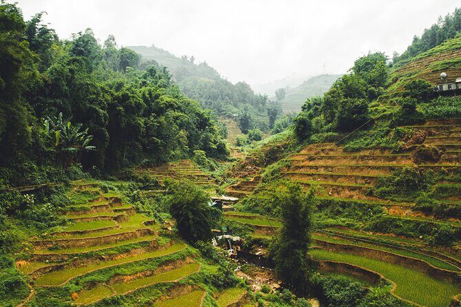 Highland Harmony Trek in Sapa - Pace, Timing, and Group Size (and What That Means for You)