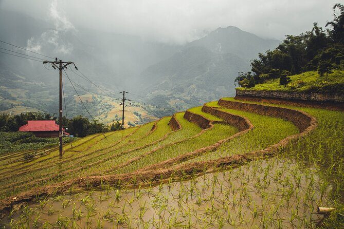 Highland Harmony Trek in Sapa - Why the Village Interactions Matter More Than the Views