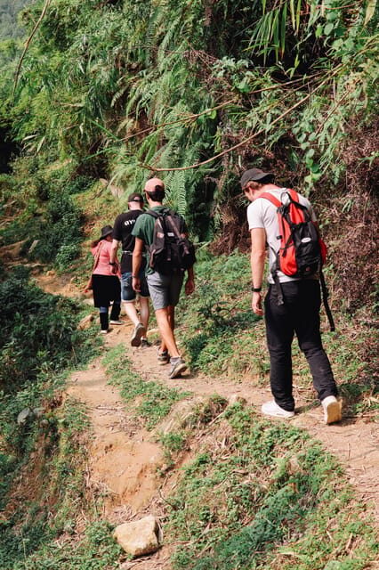 HIKE FANXIPAN MOUNTAIN TOUR 1DAY - Why This One-Day Fansipan Hike Feels Worth the Long Hours