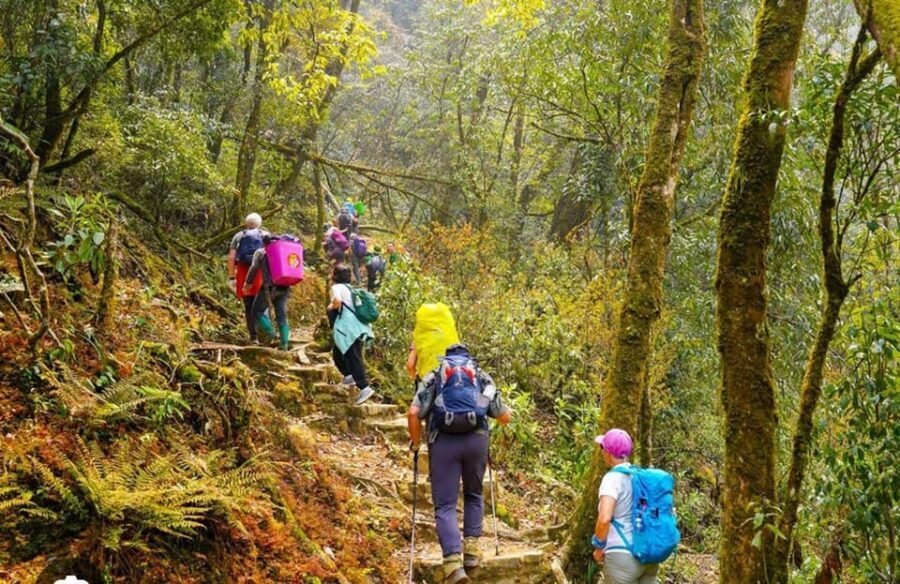 HIKE FANXIPAN MOUNTAIN TOUR 1DAY - The Climb: Changing Forests, Muong Hoa Valley Views, and Cardamom