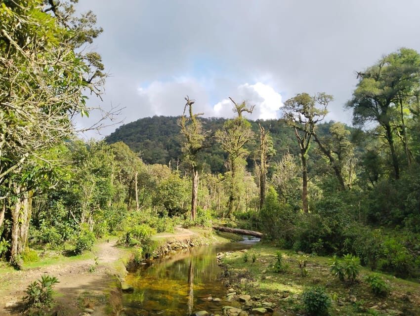 HIKE FANXIPAN MOUNTAIN TOUR 1DAY - The “Hard Work” Hours: Roughly 7–8 Hours on Foot