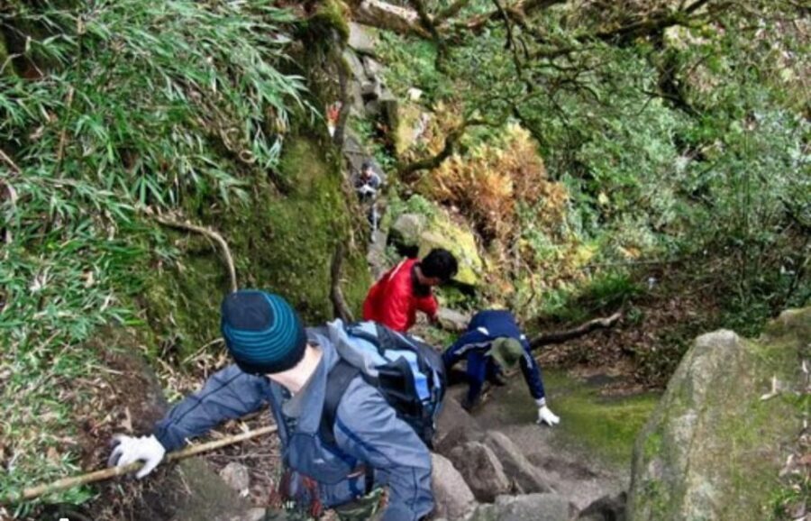 HIKE FANXIPAN MOUNTAIN TOUR 1DAY - Descent From 2,900m Back to Tram Ton and Sapa
