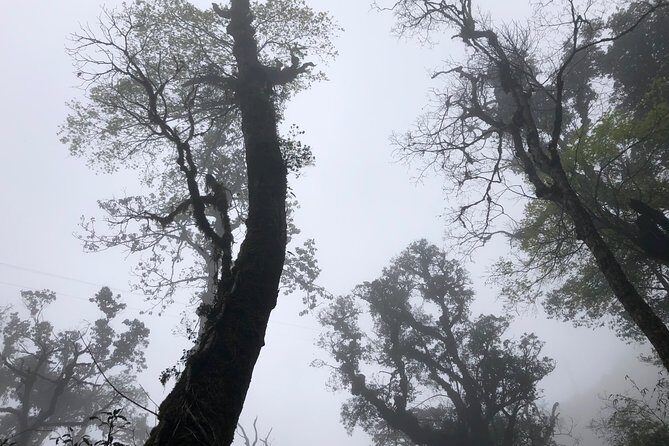 Hiking Fansipan in 1 day - Why Fansipan feels like a proper summit mission