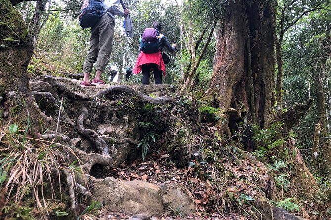 Hiking Fansipan in 1 day - Pickup, private transport, and the Chu factor