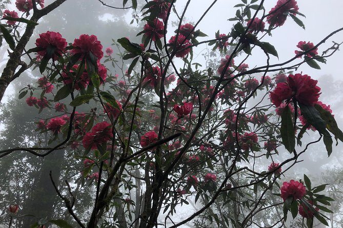 Hiking Fansipan in 1 day - Fitness: who this hike suits best