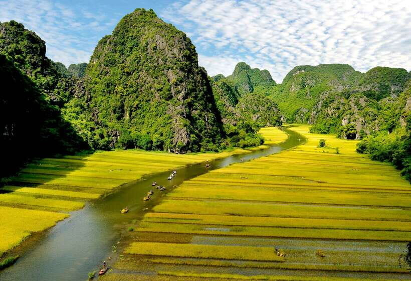 Hoa Lư and Tam Cốc with Bike Ride and Family Visit - The bike ride: rice fields, limestone views, and a real village tempo