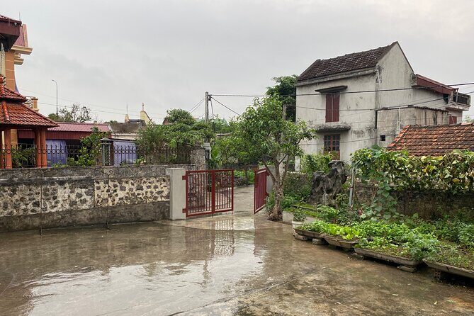 Hoa Lu: History, Culture, and Food Half-Day Tour - The Ninh Hoa stop: a local break between major sights