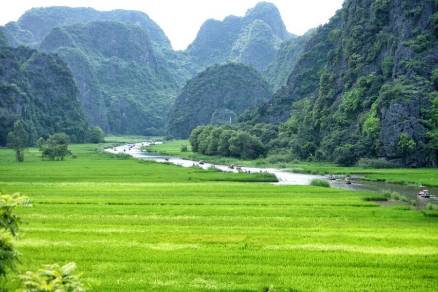 Hoa Lu-Mua Cave-Tam Coc-Bich Dong-Thung Nham National Park - Mua Cave and Lying Dragon Mountain: the 500-step reality check (then the payoff)