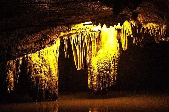 Hoa Lu - Trang An - Mua Cave- 1 Day Trip from Hanoi By Limousine and Small Group - Price and Logistics: What $47 Really Buys