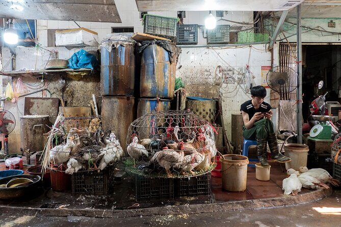 Into the Thieves Market Hanoi Photo Tour - The light challenge: ISO, aperture, and shutter speed in real time
