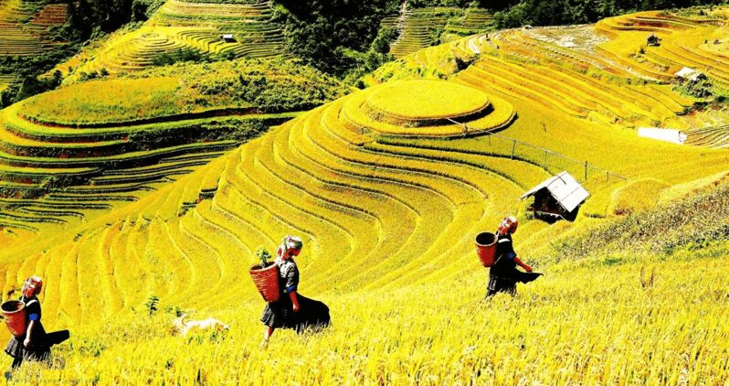 Journey Through Sapa Terraces & Traditions - Key highlights you’ll feel on the trek