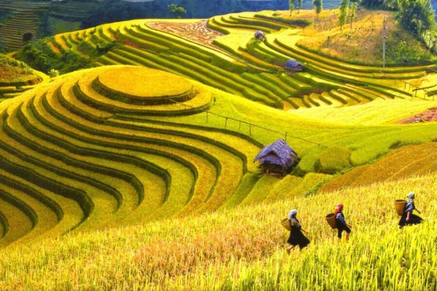 Journey Through Sapa Terraces & Traditions - Price, group size, and what $20 really buys