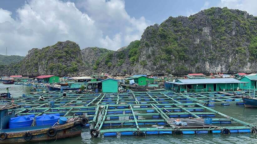 Lan Ha Bay Cat Ba Island Sightseeing Cruise 2 Days Tour - Spring-Roll Cooking Class: Why This Food Lesson Is More Than a Show