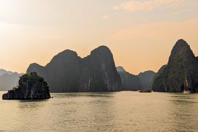 Lan Ha Bay Day Tour From Ha Noi - Daiichi Cruise (VIP1) - Midday on board: seafood lunch, plus tea and coffee