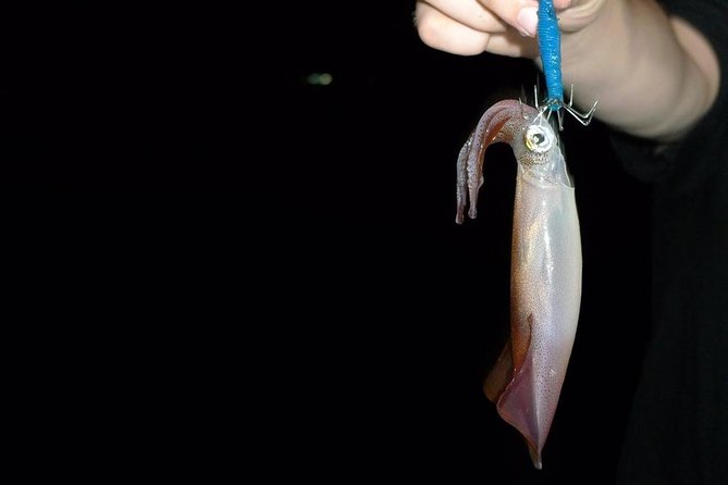 Lan Ha bay deluxe cruise 2D/1N: kayaking & swimming at pristine places & meals - Cooking spring rolls and squid fishing at night
