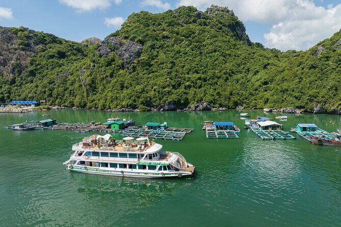 Lan Ha Bay Full-Day Tour from Hanoi, Hai Phong - Serenity Cruises - Kayaking and swimming: the main action window