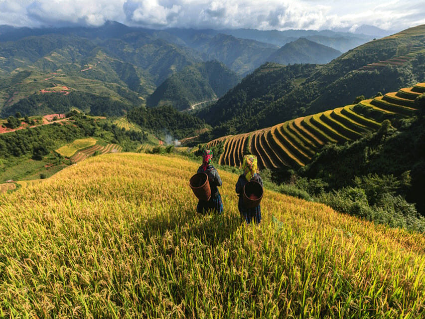 Lao Chai: Full-Day Ta Van Trek Tour from Sapa - Key Points at a Glance