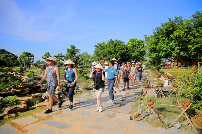 Luxury Hoa Lu Tam Coc Mua Cave 1 Day With Limousine Bus And Lunch - Tam Coc by Sampan: Three Caves on the Ngo Dong River