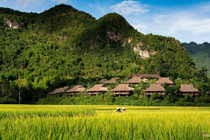 Luxury Mai Chau Day Tour from Hanoi - Timing the Day: Leaving Mai Châu and Returning to Hanoi
