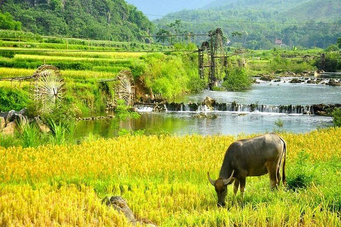 Mai Chau 1 Day Tour From Hanoi - Guide Tom and the Small Touches That Make a Big Difference