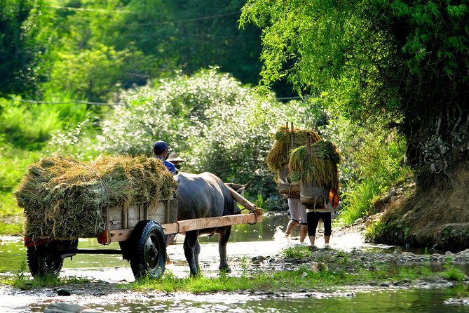Mai Chau Private Day Tour: Hiking & Biking in Pristine Landscapes - Thung Khe Pass: a quick stop with big payoff