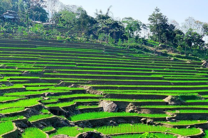 Mai Chau - Pu Luong 2 days - Should You Book This 2-Day Mai Chau–Pu Luong Tour?