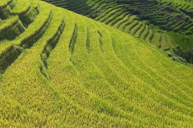 Mai Chau – Pu Luong 2D1N - Quick Hits You’ll Actually Care About