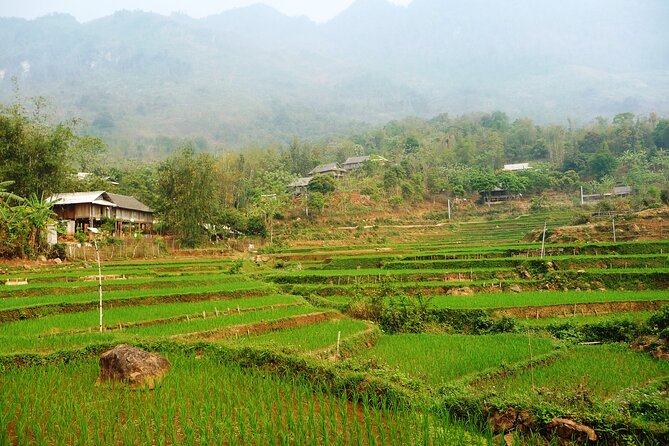 Mai Chau – Pu Luong 2D1N - Pu Luong Nature Reserve Trek: Moderate Strain, Real Village Stops