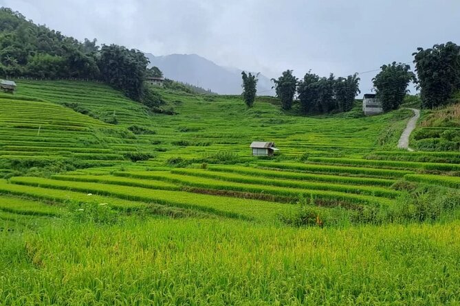 Mai Chau – Pu Luong 2D1N - Price and Logistics: Is $180 Good Value?