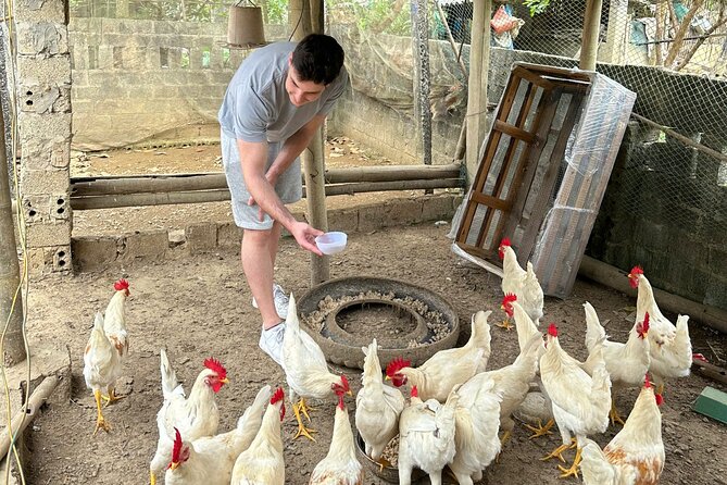 Mai Chau & Pu Luong 2D1N: Nature,Culture,Local Village Experience - Day 1: the long drive, Mai Chau lunch, then Pu Luong by evening