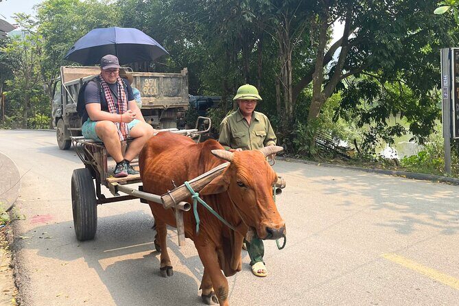 Majestic Ninh Binh Discovery: Mua Cave & Tam Coc private tour - Price and what you actually get for $135