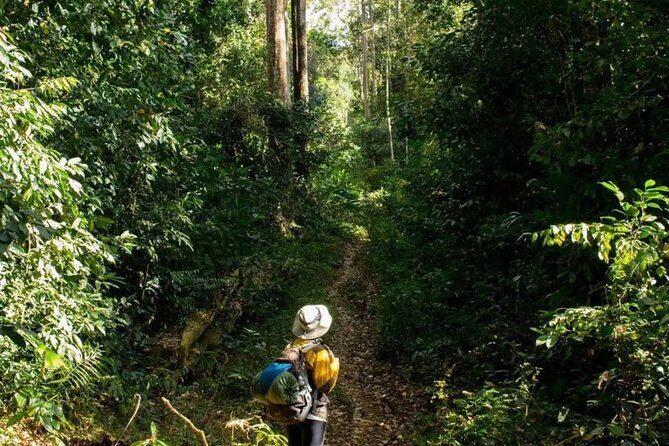 Mount Fansipan 2 Days Trek – Roof of Indochina - Entering the Fansipan game plan from Sapa